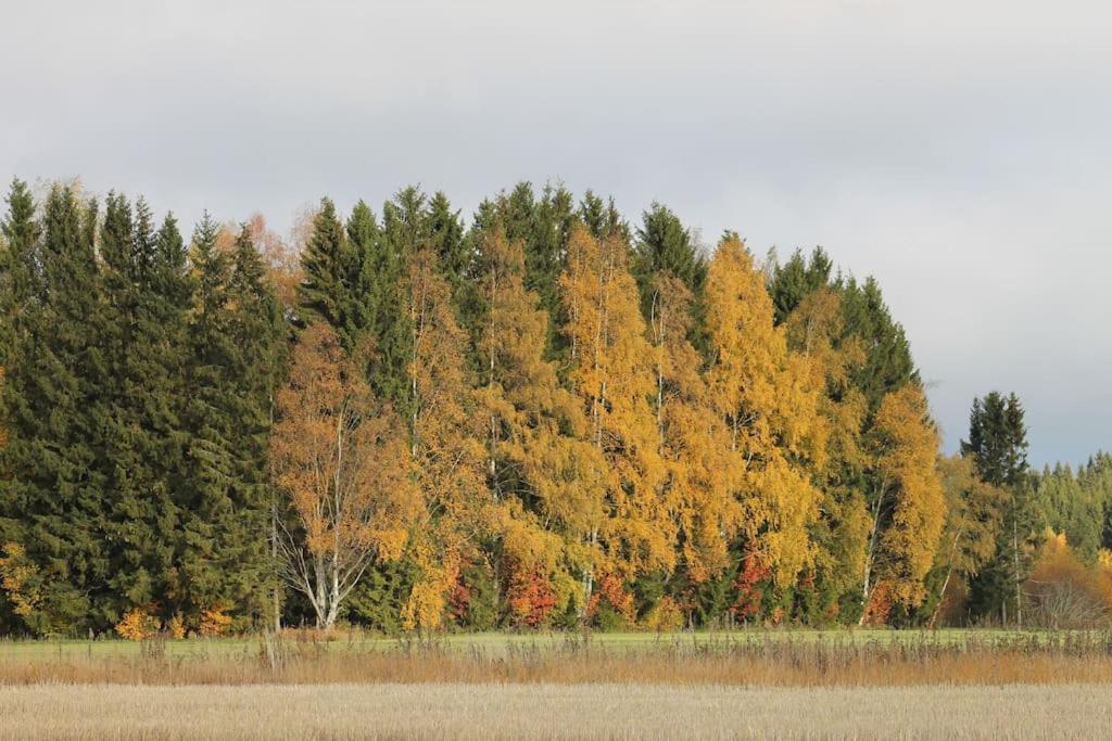 Albertiina Kurikka ภายนอก รูปภาพ