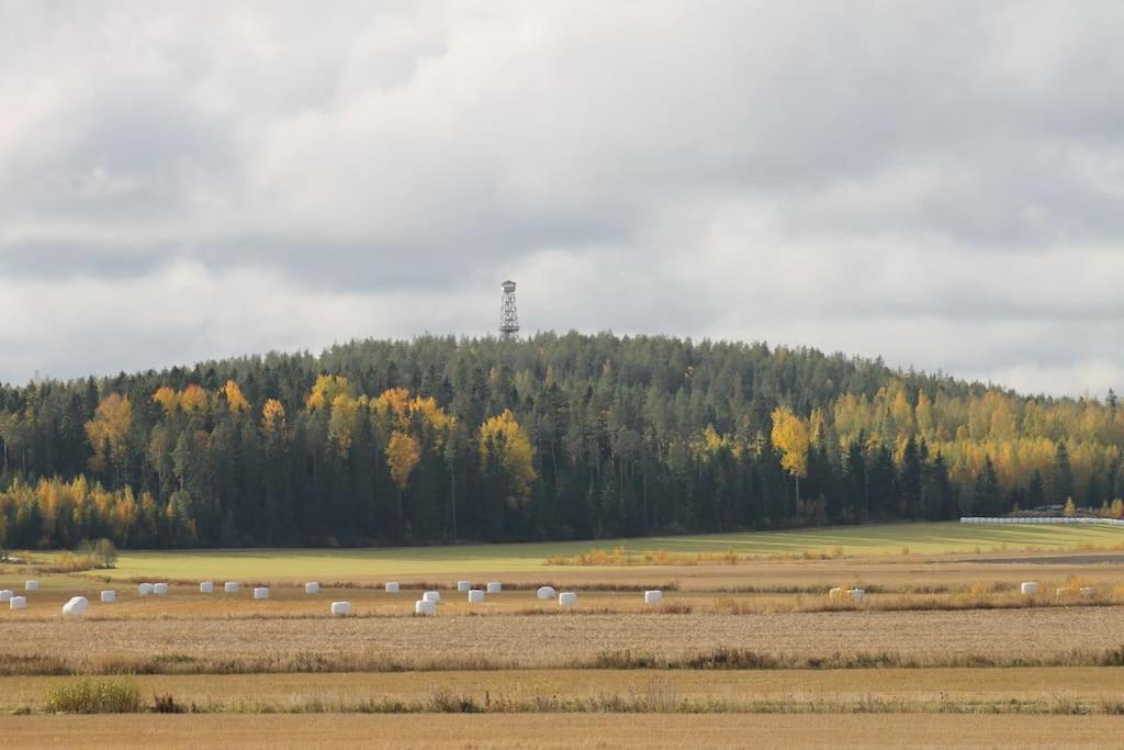 Albertiina Kurikka ภายนอก รูปภาพ